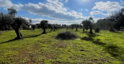 Exclusive Building Project in Carovigno, Apulia