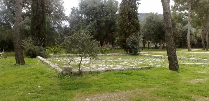 Sea-View Masseria for sale, Fasano
