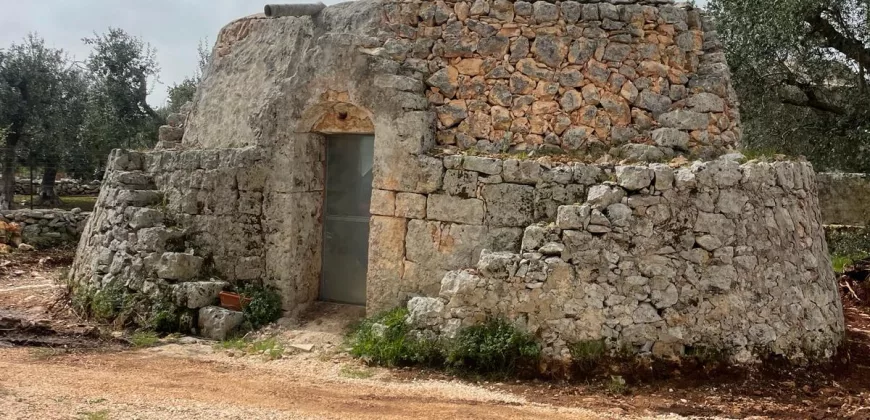 Ostuni New Construction with Trullo