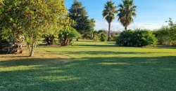 Exquisite Villa in Mesagne for sale