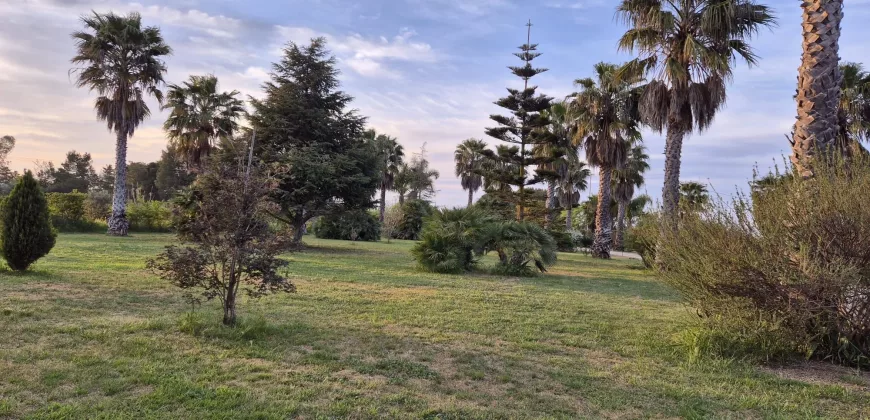 Exquisite Villa in Mesagne for sale