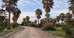 Exquisite Villa in Mesagne for sale