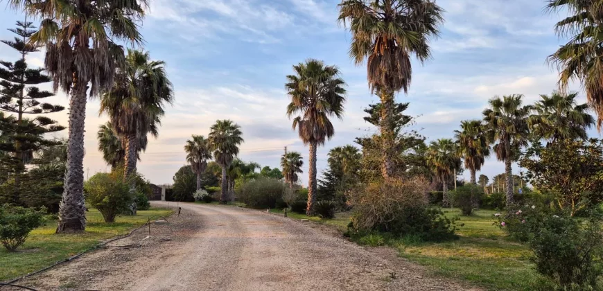 Exquisite Villa in Mesagne for sale