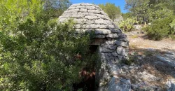 Villa Alda – Renovated Villa with Trulli in Cisternino