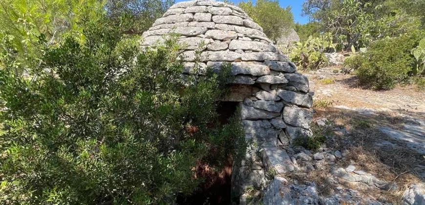 Villa Alda – Renovated Villa with Trulli in Cisternino