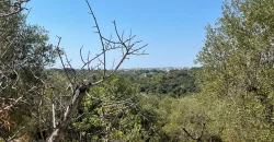 Villa Alda – Renovated Villa with Trulli in Cisternino