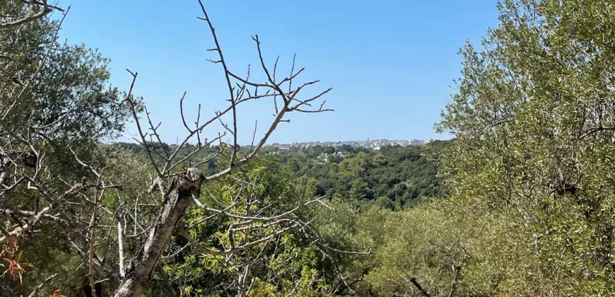 Villa Alda – Renovated Villa with Trulli in Cisternino