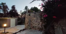 Villa Verde – Two-Unit Estate in San Vito dei Normanni