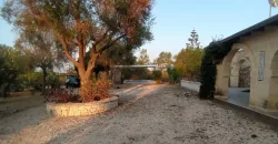 Villa Verde – Two-Unit Estate in San Vito dei Normanni