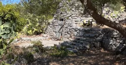 Villa Alda – Renovated Villa with Trulli in Cisternino