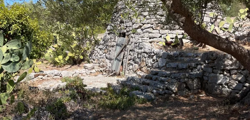 Villa Alda – Renovated Villa with Trulli in Cisternino