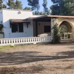 Villa Verde – Two-Unit Estate in San Vito dei Normanni