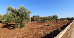 Puglia Dream Villa in Ostuni