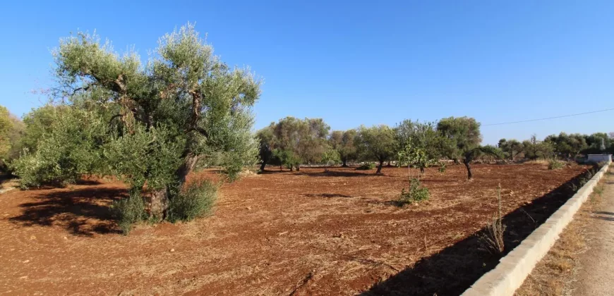 Puglia Dream Villa in Ostuni