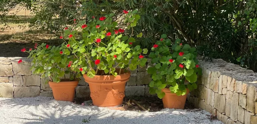 Puglia Dream Villa in Ostuni