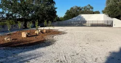 Puglia Dream Villa in Ostuni