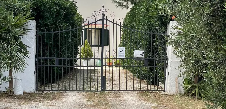 Masseria near Mesagne Center – Exceptional Investment Opportunity