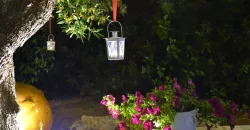 B&B in the Heart of Puglia – Locorotondo / Valle d’Itria