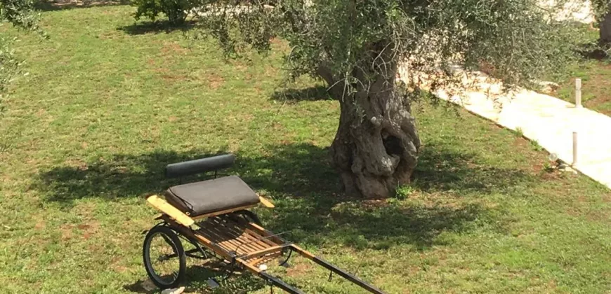 B&B in the Heart of Puglia – Locorotondo / Valle d’Itria