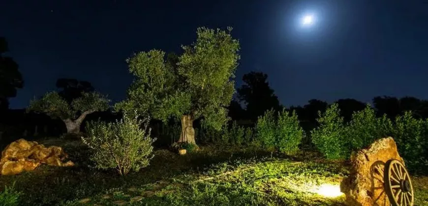 B&B in the Heart of Puglia – Locorotondo / Valle d’Itria