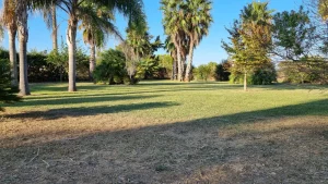 exquisite villa in mesagne for sale