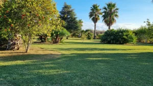 exquisite villa in mesagne for sale