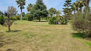 exquisite villa in mesagne for sale