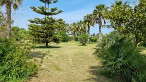 exquisite villa in mesagne for sale