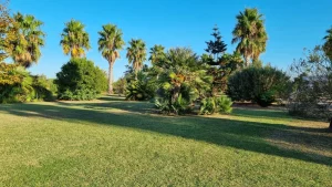 exquisite villa in mesagne for sale