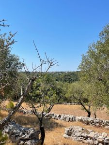 villa alda – renovated villa with trulli in cisternino