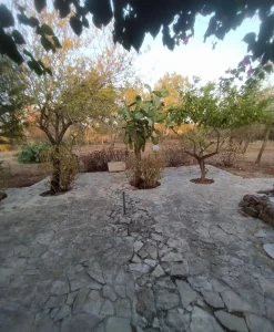 villa verde – two-unit villa for sale in san vito dei normanni