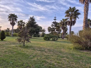 exquisite villa in mesagne for sale