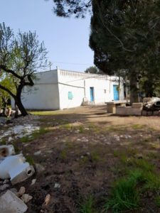 Investment Property, Puglia, italy