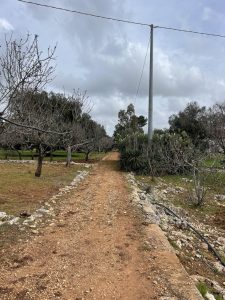 Investment Property, Puglia, italy