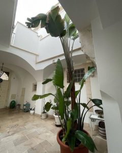 palace for sale martina franca, apulia