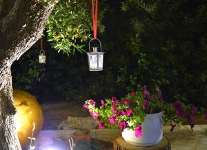 B&B for sale in Locorotondo