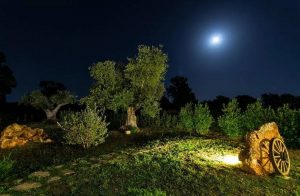 B&B for sale in Locorotondo